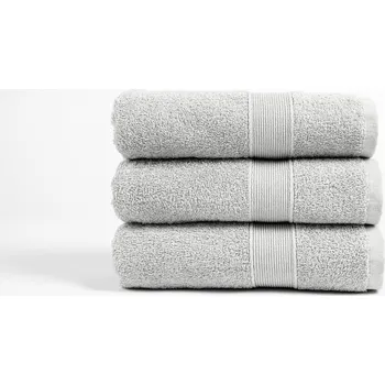 Ručník Aaryans Froté ručník Oliver světle šedý 50x100 cm