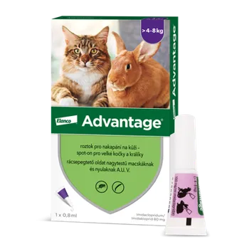 Antiparazitikum pro kočku Advantage 80 mg roztok pro nakapání na kůži – spot-on pro velké kočky a králíky 1 x 0.8 ml