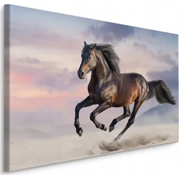 Obraz Obraz canvas Kůň v cvalu poušť Příroda 30x20