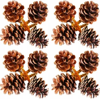 Vánoce Sada 16 ks dekorací: Šišky přírodní se zápichem 5 cm