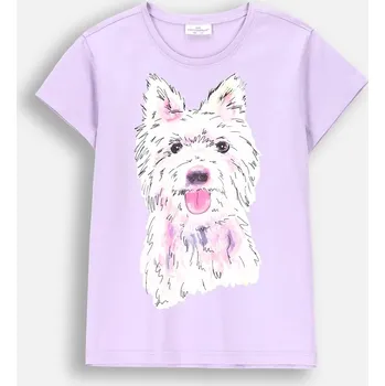 Chlapecké oblečení Coccodrillo dětské tričko modré bavlna velikost 98