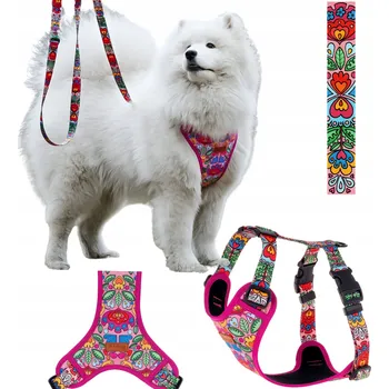 Postroj pro psa Měkké, netlakové postroje pro psa teriéra S 20 mm Ukory BAREVNÝ folklor