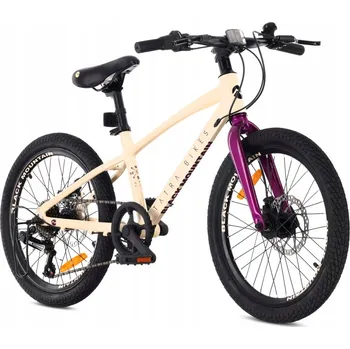 Dětské kolo Dětské kolo Sun Baby Tatra20, kolo 20", béžové