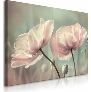 Obraz OBRAZ NA PLÁTNĚ BÍLÉ TULIPÁNY KVĚTINY PŘÍRODA ROSTLINY DO LOŽNICE 90x60