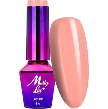 Přípravek na nehty Hybridní lak na nehty MOLLYLAC 5g Macarons Fairy Cake Třpytivý Č. 477