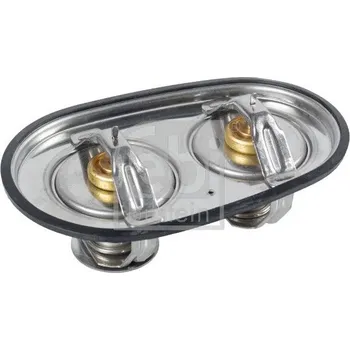 Těsnění motoru Termostat, chladivo FEBI BILSTEIN 171127