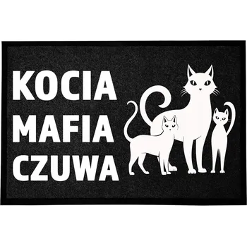 Rohožka Hotová gumová rohožka, PVC 60 x 40 cm