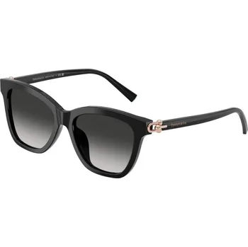 Sluneční brýle TIFFANY & CO. TF4241D 80013C