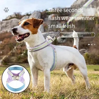 Postroj pro psa Sada postroje pro domácí mazlíčky + vodítko (Fialová + růžová) L