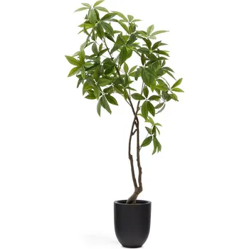 umělá květina Umělá rostlina (výška 180 cm) Pachira – Kave Home ID_1759030