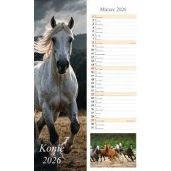 Kalendář Kalendarz 2026 ścienny pasek Konie