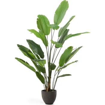 umělá květina Umělý banánovník (výška 210 cm) – Kave Home ID_1759294