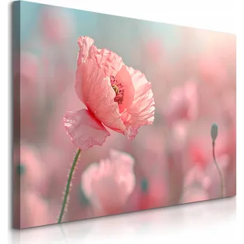 Obraz OBRAZ DO JÍDELNY OBÝVACÍHO POKOJE RŮŽOVÉ VLČÍ MÁKY POLNÍ KVĚTINY ROSTLINY LOUKA 90x60