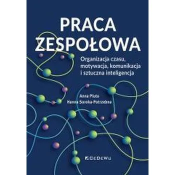Praca zespołowa. Organizacja czasu, motywacja.. - Pluta Anna