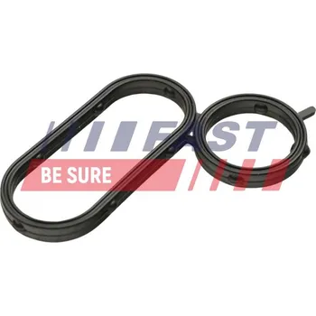 Chladič motoru Těsnicí kroužek, chladič oleje (mazání) FAST FT48944