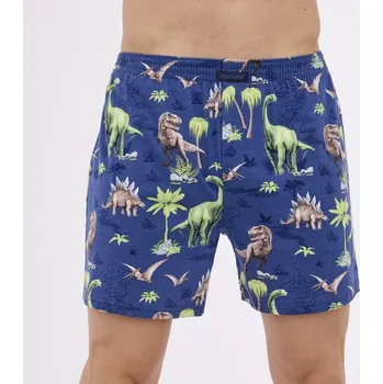 Chlapecké oblečení Cornette chlapecké volné trenýrky Dino