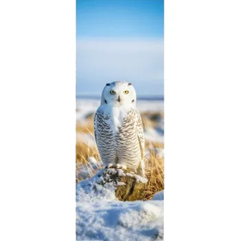 Doplněk ke knize Sběratelská záložka - Tundra 3