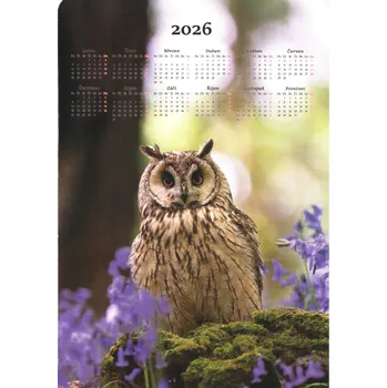 Matějovský Kalendář SOVA - 2026 velikost: 50x70 cm - 1ks