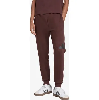 Pánské kraťasy adidas Essentials Big Logo S