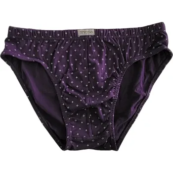 Slipy ANDRIE pánské slipy bavlna PS3571 modrá