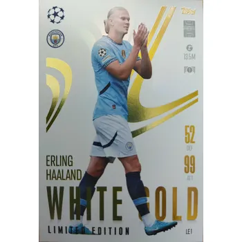 Karetní hra Erling Haaland