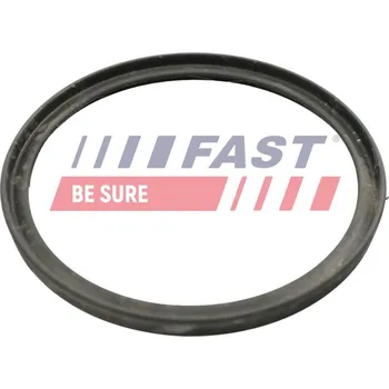 Těsnění motoru Těsnicí kroužek, hadice plnicího vzduchu FAST FT49922