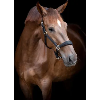 Horseguard Ohlávka Diya 2.0 HorseGuard, černá PONY