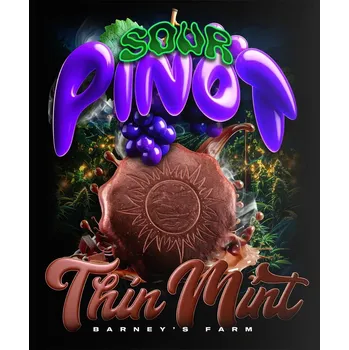 Thin Mint x Sour Pinot Auto™ fem. (balení 10)