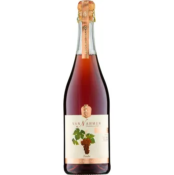 VAN NAHMEN Fruit-SECCO hroznové BIO