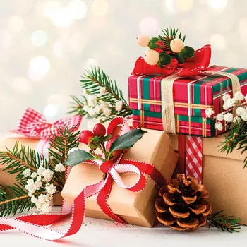 Papírový ubrousek Ubrousky v sadě 20 ks 33x33 cm Noel – Homéa ID_1811886