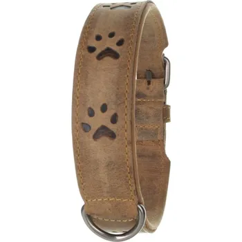Obojek pro psa Kožený obojek pro psy Greenburry 1609-25/55cm