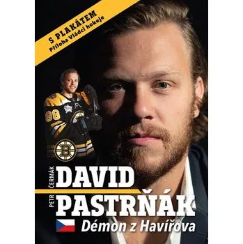 Literární biografie David Pastrňák