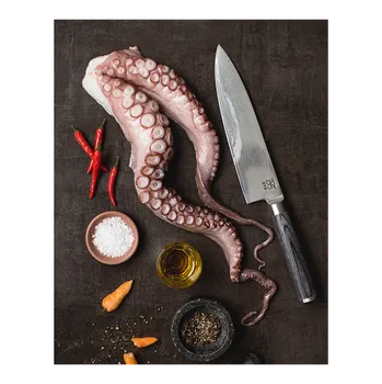 kapesní nůž OYO OPAL DAMAŠKOVÝ KUCHAŘSKÝ NŮŽ