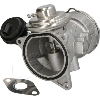 Ventil palivového systému Ventil recirkulace výfukových plynů, SE07-0074