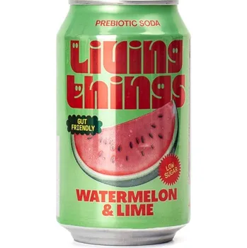 Limonáda Living-Things Meloun Limetka