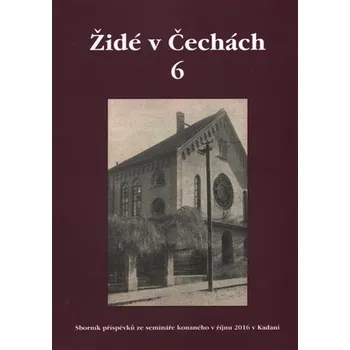 Židé v Čechách 6 - Sborník příspěvků ze semináře konaného v říjnu 2016 v Kodani