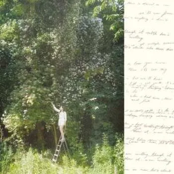 Zahraniční hudba CD Ivy Falls: Sense & Nonsense 2024