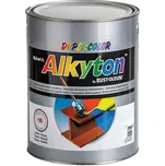 Email 2v1 ALKYTON HLADKÝ LESKLÝ - 1 L - RAL 9005 černá