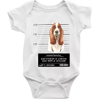 Kojenecký body Baset - lump a darebák - Body kojenecké s krátkým rukávem - Krátký r. 6-12 mes ( Bílá )