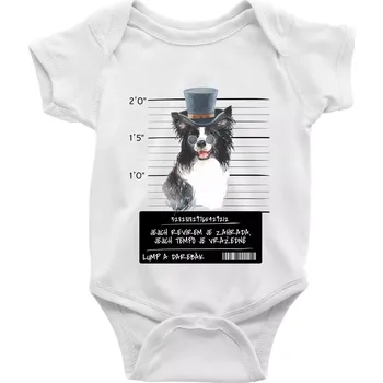 Kojenecký body Lump a darebák border kolie - Body kojenecké s krátkým rukávem - Krátký r. 6-12 mes ( Bílá )