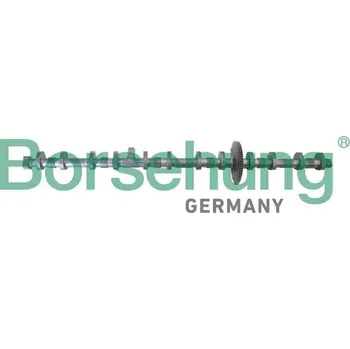 Výstředníkový hřídel, seřízení vačkového hřídele Borsehung B12296