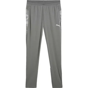 Pánské kalhoty Pánské tréninkové kalhoty Puma TEAMCUP TRAINING PANTS XS Šedá, Bílá