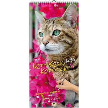 Kalendář Kalendarz 2026 paskowy szeroki koty kotki koteczki