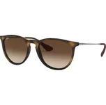 Ray-Ban Erika RB 4171 865/13 54