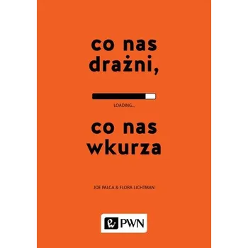 CO NAS DRAŻNI CO NAS WKURZA - JOE PALCA