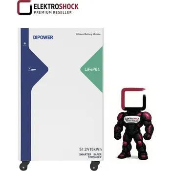 Článková baterie LiFePo4 DiPower Shock 15,36 kWh Články BYD nízkonapěťová 51,2 V