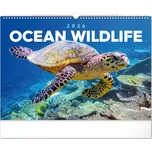 Notique Nástěnný kalednář podmořský…