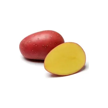Zelenina Konzumní brambory k uskladnění červené (pytel 25kg)