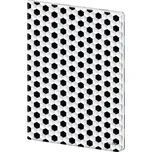 Helma365 Sešit s plastovými deskami A4 444 linkovaný 40 listů Soccer