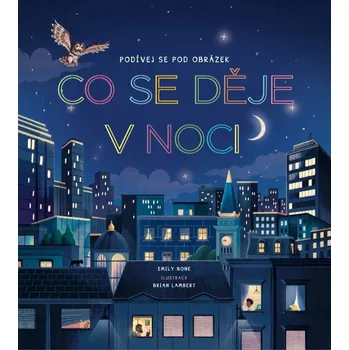 Co se děje v noci - Podívej se pod obrázek - Bone Emily